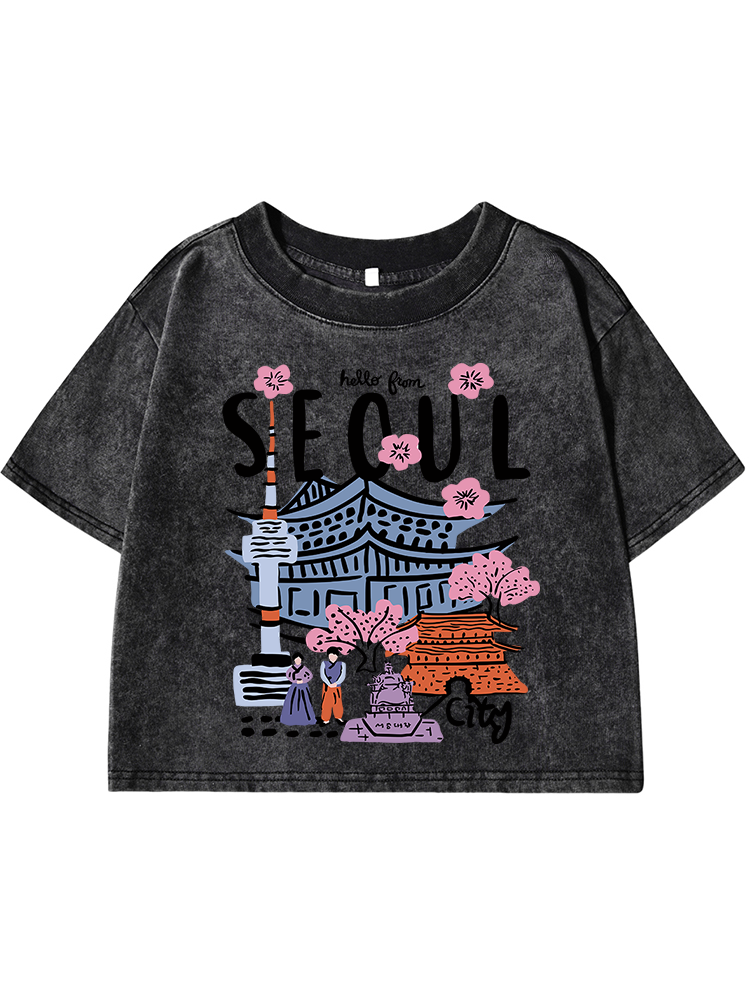 Seoul Beautiful Scenery Printi - Street Fashion Of Seoul review and price